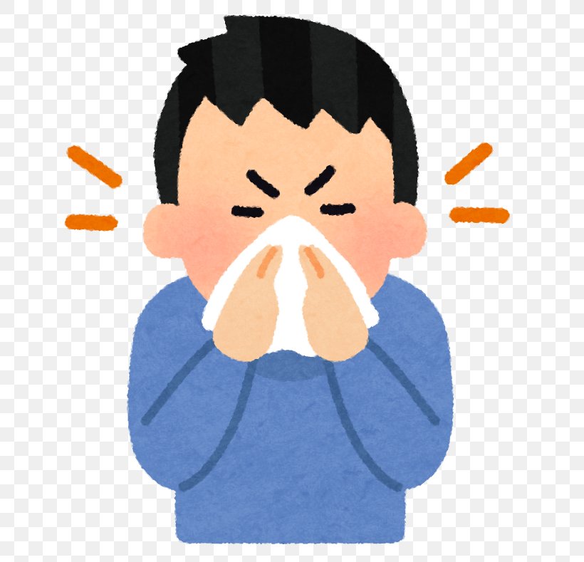 Sinus Infection Paranasal Sinuses Caccola Nose Nasal Congestion, PNG, 747x789px, Sinus Infection, Allergic Rhinitis Due To Pollen, Allergy, Caccola, Cartoon Download Free