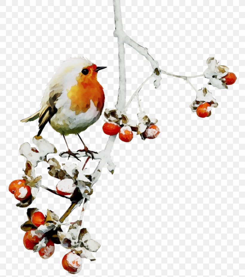 European Robin Bird Songbird Old World Flycatcher Branch, PNG, 953x1076px, Watercolor, Beak, Bird, Branch, European Robin Download Free