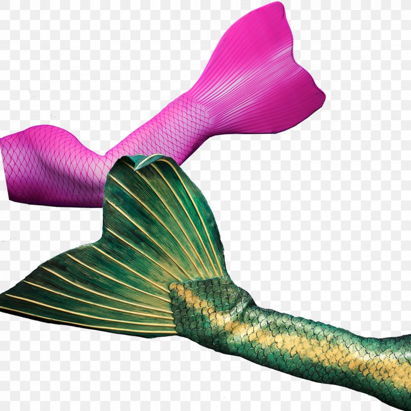 Mermaid Merman Monofin Tail Perth, PNG, 1200x1200px, Mermaid, Clothing Accessories, Fashion Accessory, Hair, Magenta Download Free