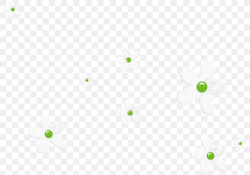 Product Design Green Desktop Wallpaper Pattern, PNG, 800x574px, Green, Branch, Computer, Flora, Flower Download Free