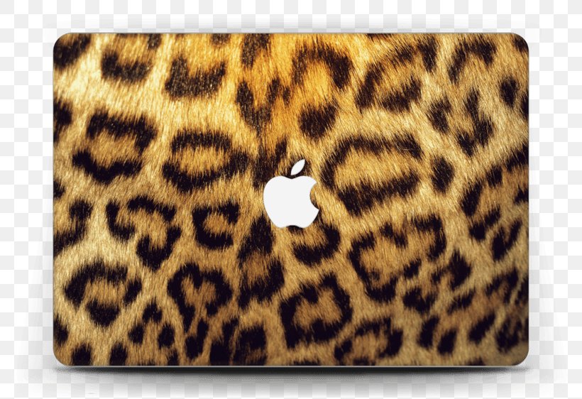 Animal Print Cheetah Clouded Leopard Zazzle Kerchief, PNG, 800x562px, Animal Print, Amur Leopard, Big Cats, Carnivoran, Cat Like Mammal Download Free