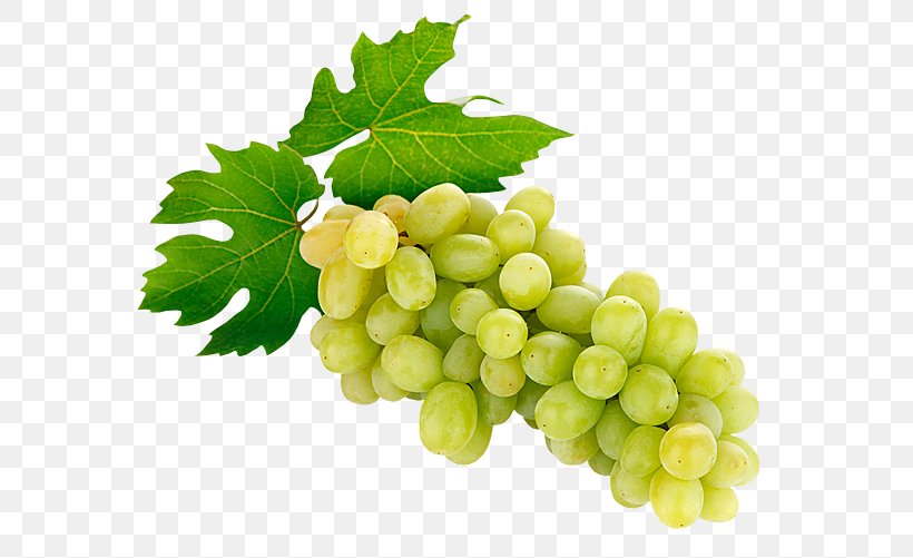 Fruit Vegetable Wine Clip Art, PNG, 600x501px, Fruit, Food, Gooseberry, Grape, Grape Leaves Download Free