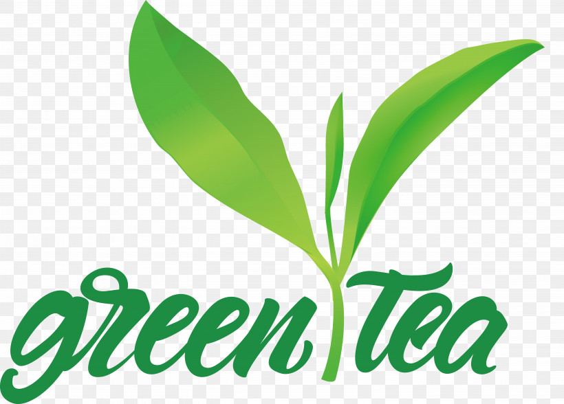 Leaf Plant Stem Logo Font Herbal Medicine, PNG, 5717x4103px, Leaf, Biology, Herbal Medicine, Logo, Plant Download Free