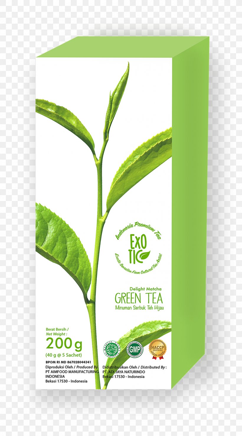 Matcha Green Tea Latte White Tea, PNG, 1000x1799px, Matcha, Brand, Drink, Food, Green Tea Download Free