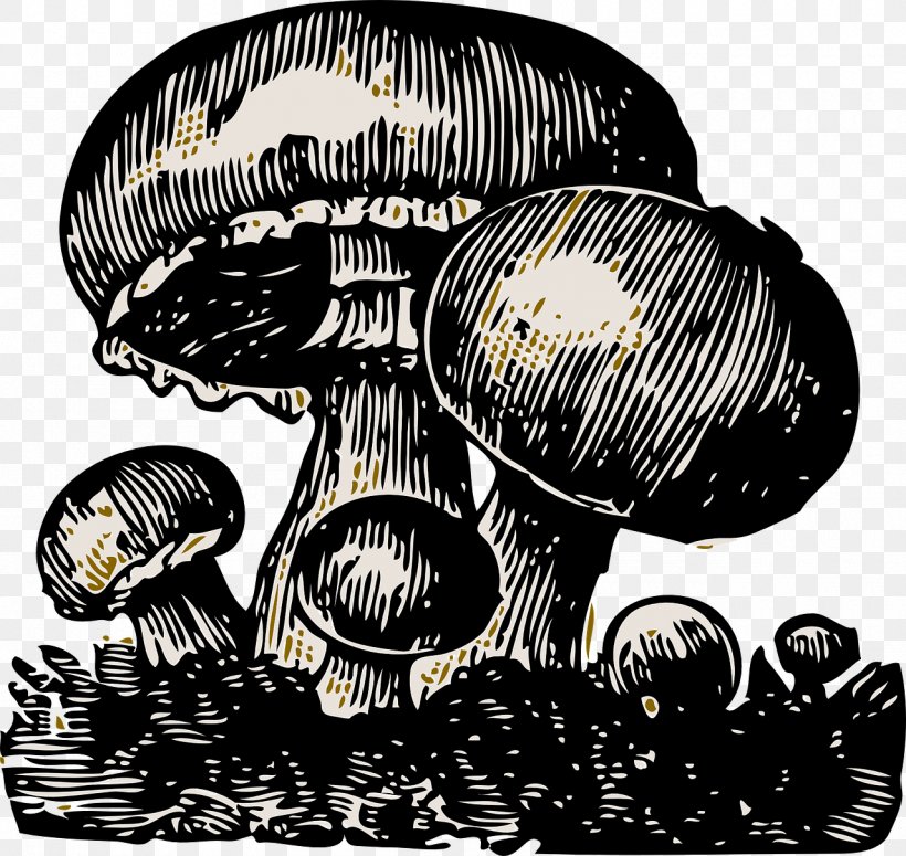 Mushroom Fungus Clip Art, PNG, 1280x1210px, Mushroom, Black And White, Boletus Edulis, Edible Mushroom, Fungus Download Free