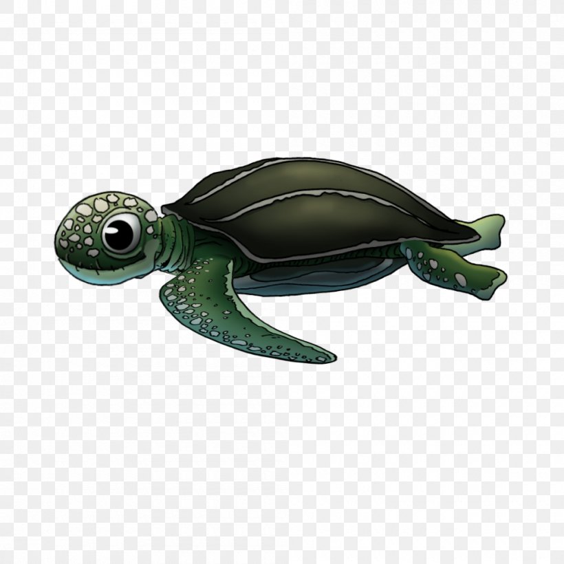 Sea Turtle Pond Turtles, PNG, 1000x1000px, Sea Turtle, Emydidae, Pond Turtles, Reptile, Turtle Download Free