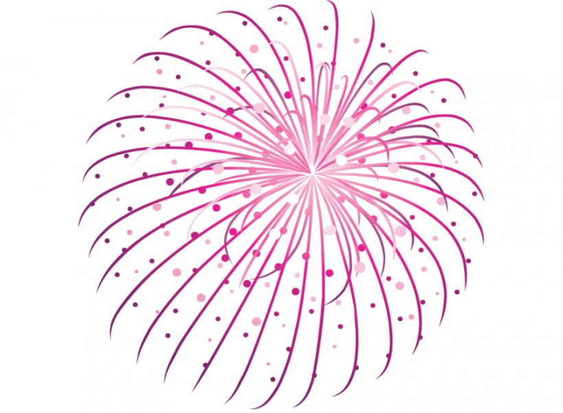 Clip Art Vector Graphics Fireworks Openclipart, PNG, 900x660px, Fireworks, Art, Flower, Flowering Plant, Magenta Download Free