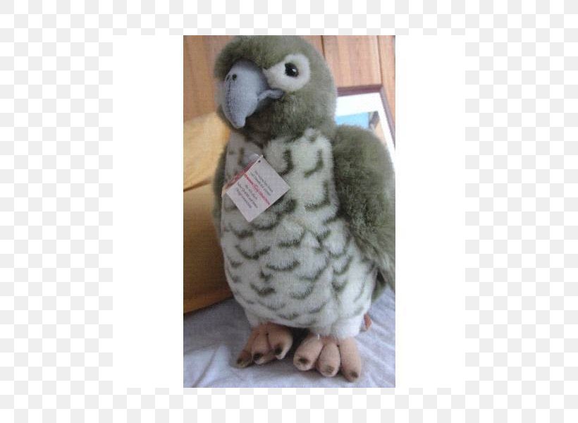 Fauna Beak, PNG, 800x600px, Fauna, Beak, Plush, Stuffed Toy Download Free