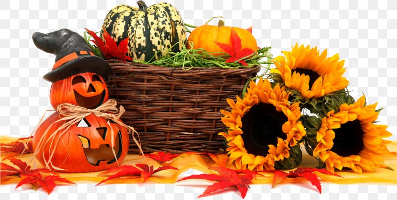 Halloween Harvest Trick-or-treating Autumn Jack-o'-lantern, PNG, 1600x808px, Halloween, Autumn, Calabaza, Carving, Cucurbita Download Free