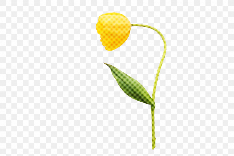 Plant Stem Flower Tulip Petal Yellow, PNG, 1400x933px, Plant Stem, Biology, Flower, Petal, Plant Structure Download Free