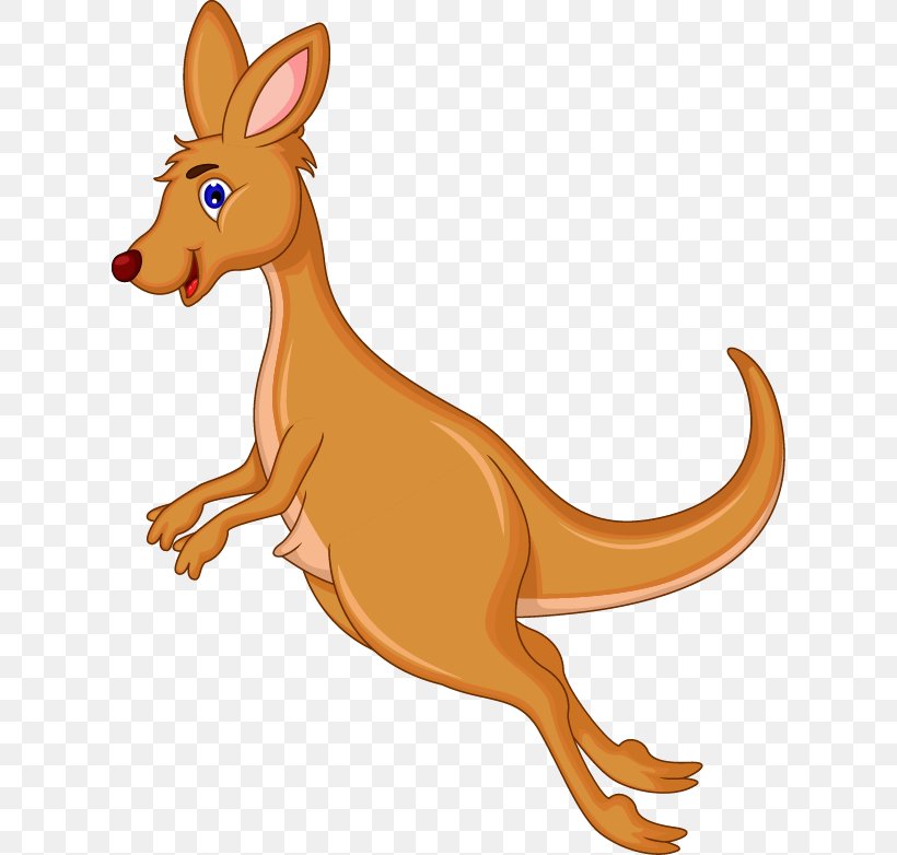 Kangaroo Rat Clip Art, PNG, 616x782px, Kangaroo, Animal, Boxing Kangaroo, Carnivoran, Cartoon Download Free