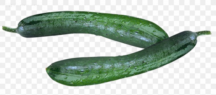Pickled Cucumber Vegetable, PNG, 1024x454px, Cucumber, Bell Peppers And Chili Peppers, Cucumber Gourd And Melon Family, Cucumis, Cutting Board Download Free