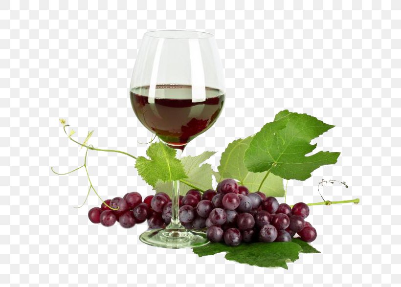 Red Wine Pinot Meunier Champagne Shiraz, PNG, 650x587px, Red Wine, Cava Do, Champagne, Champagne Stemware, Cup Download Free