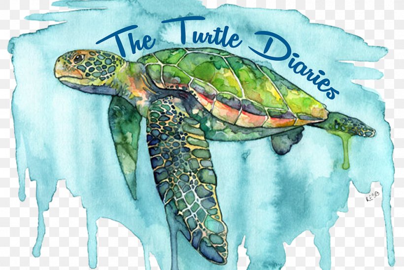 Sea Turtle Background, PNG, 993x663px, Watercolor Painting, Acrylic Paint, Artist, Canvas, Fine Arts Download Free