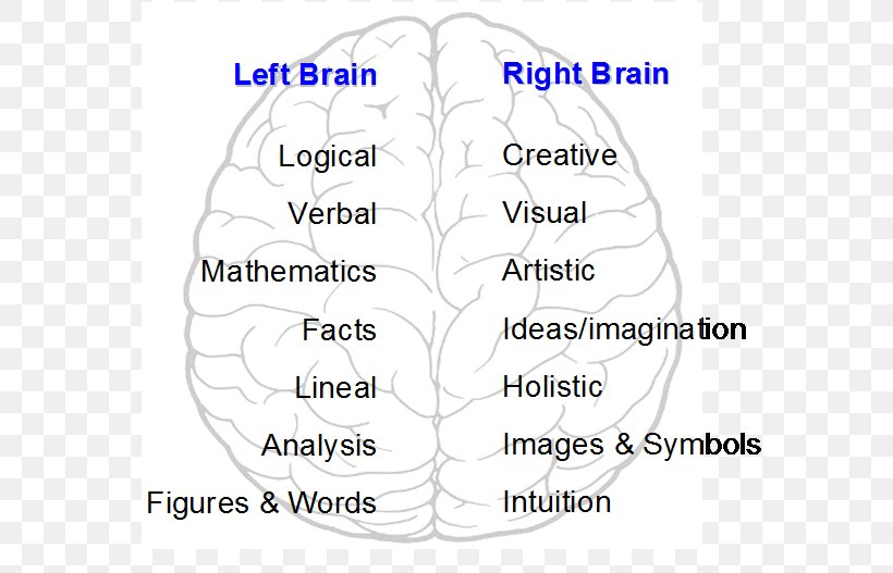 Brain Human Behavior Organism Cerebral Hemisphere, PNG, 659x527px, Watercolor, Cartoon, Flower, Frame, Heart Download Free