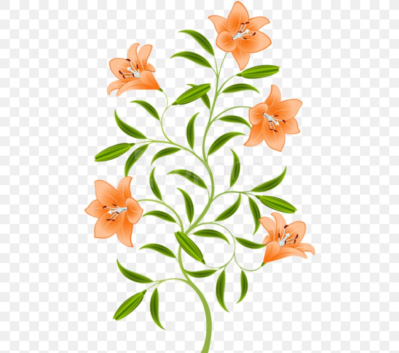 Easter Lily Background, PNG, 478x725px, Orange Lily, Daylily, Easter Lily, Flower, Lily Download Free