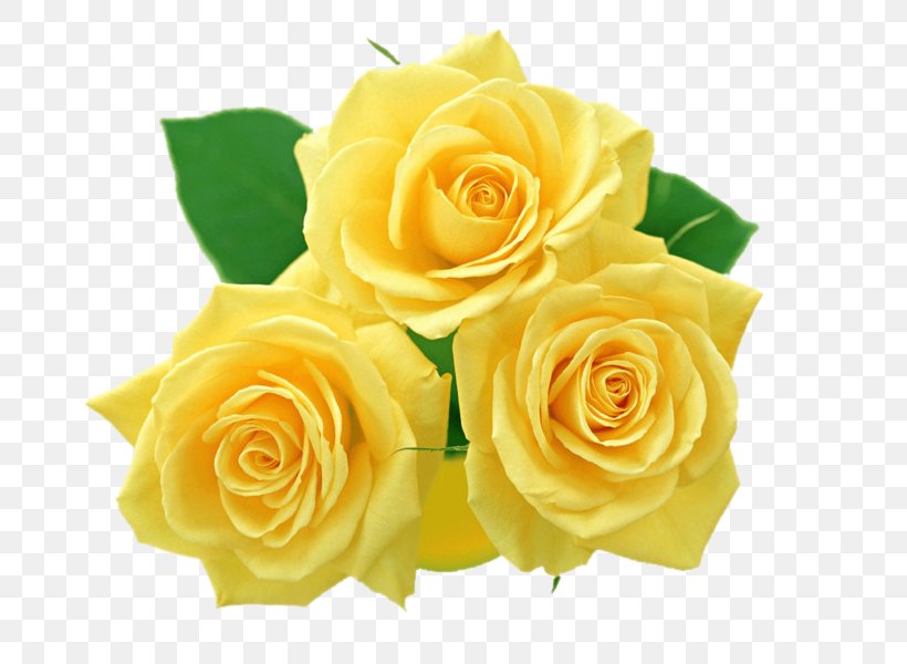 Flower Rose Yellow Clip Art, PNG, 750x600px, Flower, Cut Flowers, Floral Design, Floribunda, Floristry Download Free