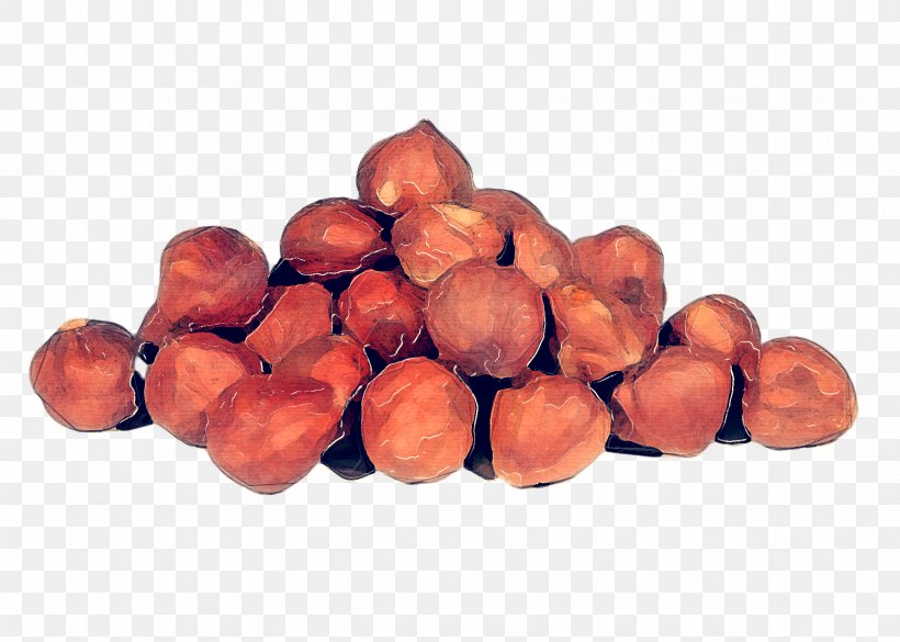 Hazelnut Food Plant Fruit Legume, PNG, 2048x1462px, Hazelnut, Food, Fruit, Legume, Nut Download Free