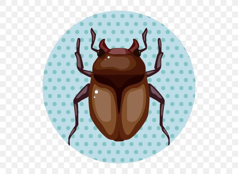 Insect Cartoon Illustration, PNG, 600x600px, Insect, Antler, Brown, Can Stock Photo, Cartoon Download Free