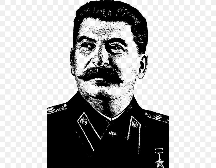 Joseph Stalin Soviet Union The Death Of Stalin Russian Revolution Stalinism, PNG, 464x640px, Joseph Stalin, Beard, Black And White, Chin, Death Of Stalin Download Free