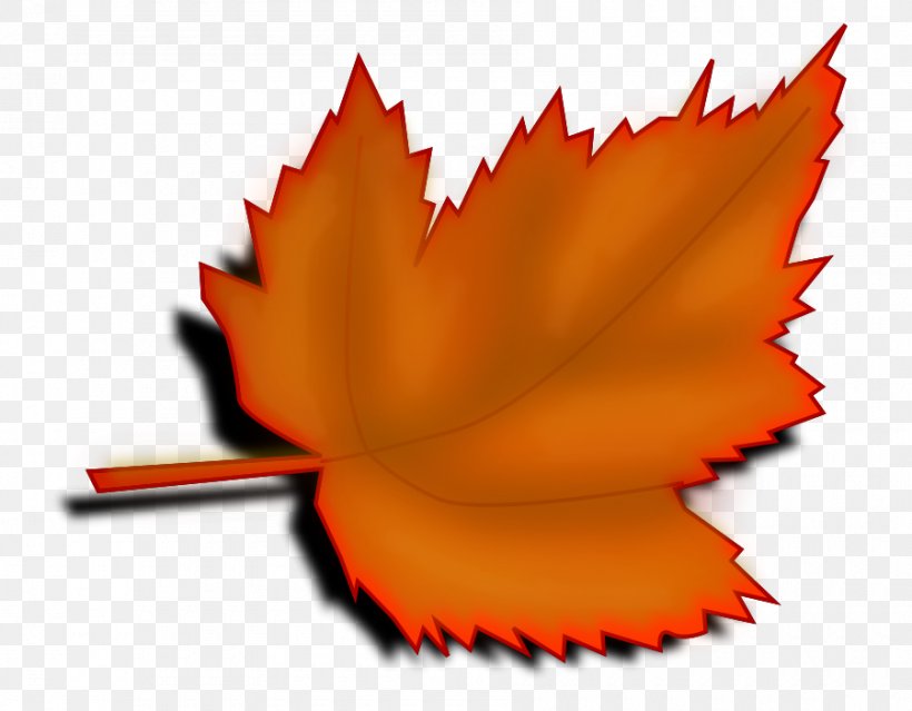 Red Maple Maple Leaf Autumn Leaf Color Clip Art, PNG, 900x702px, Red Maple, Autumn, Autumn Leaf Color, Drawing, Flower Download Free