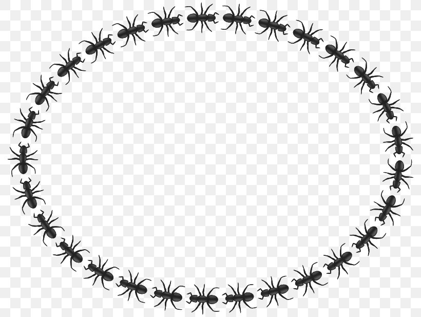 Ant Insect Circle Clip Art, PNG, 800x617px, Ant, Ant Mill, Black And White, Body Jewelry, Chain Download Free