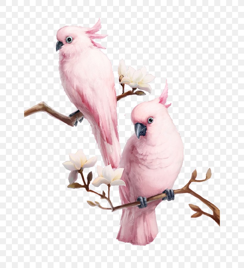 Bird Major Mitchell's Cockatoo Flamingos Pink, PNG, 658x900px, Bird, Art, Beak, Birdcage, Canvas Download Free