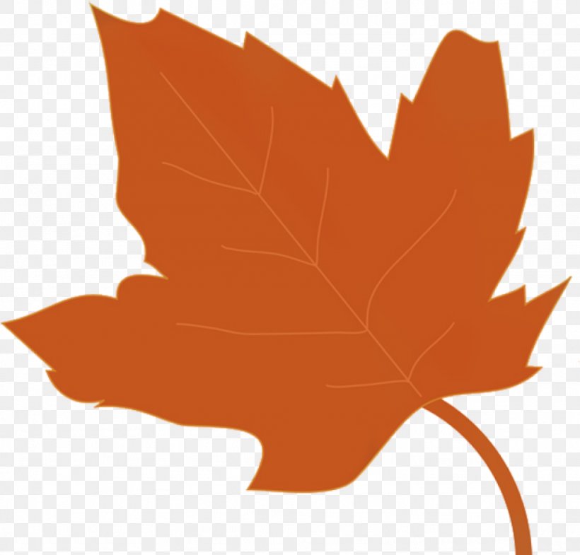 Clip Art Autumn Leaf Color Free Content Vector Graphics Openclipart, PNG, 1024x981px, Autumn Leaf Color, Autumn, Black Maple, Botany, Deciduous Download Free