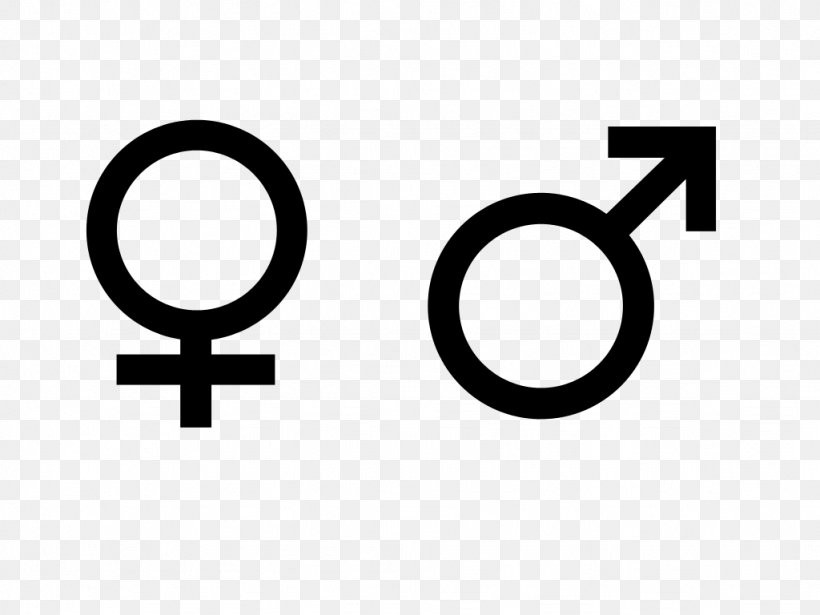 Gender Symbol Female, PNG, 1024x768px, Gender Symbol, Area, Brand, Concept, Culture Download Free