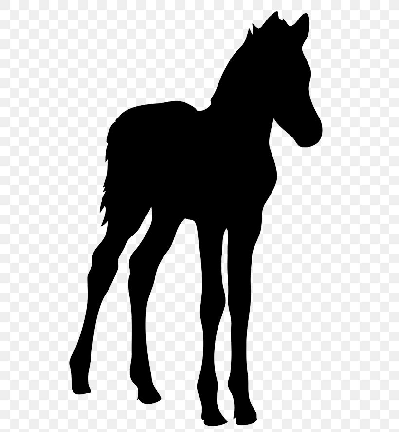 Horse Foal Silhouette Clip Art, PNG, 567x886px, Horse, Black, Black And White, Bridle, Colt Download Free