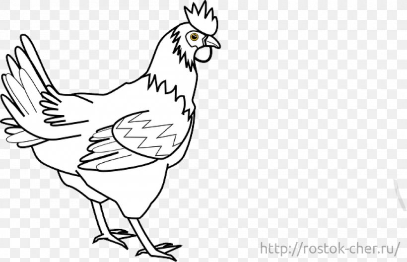 Silkie Rooster Coloring Book Clip Art, PNG, 1000x644px, Silkie, Art, Artwork, Beak, Bird Download Free