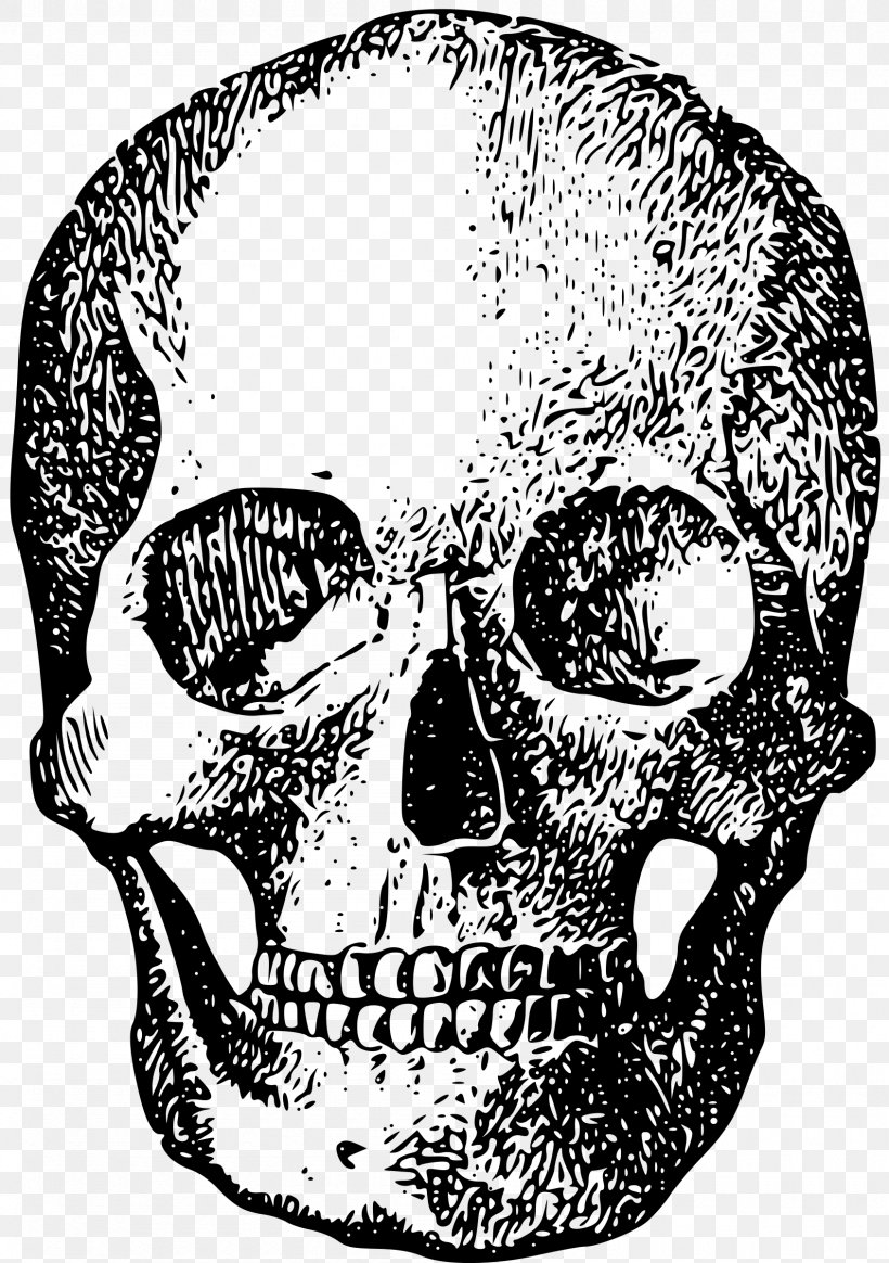 Skull Human Skeleton Bone, PNG, 1690x2400px, Skull, Black And White, Bone, Brush, Drawing Download Free
