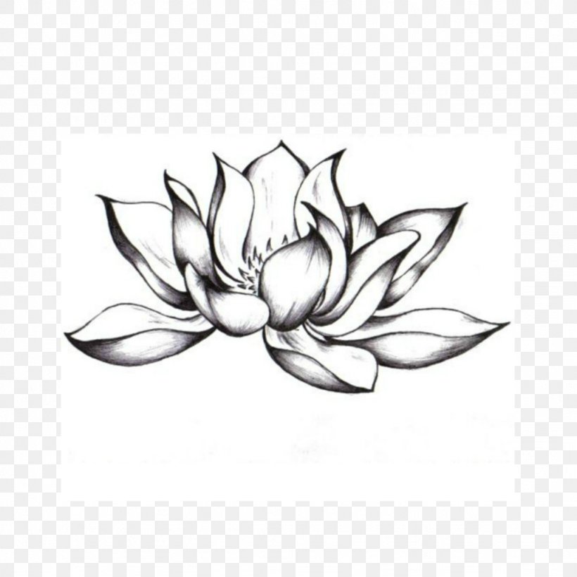 Drawings For Tattoos Sacred Lotus Image Flower, PNG, 1024x1024px, Drawings For Tattoos, Art, Artwork, Black And White, Drawing Download Free