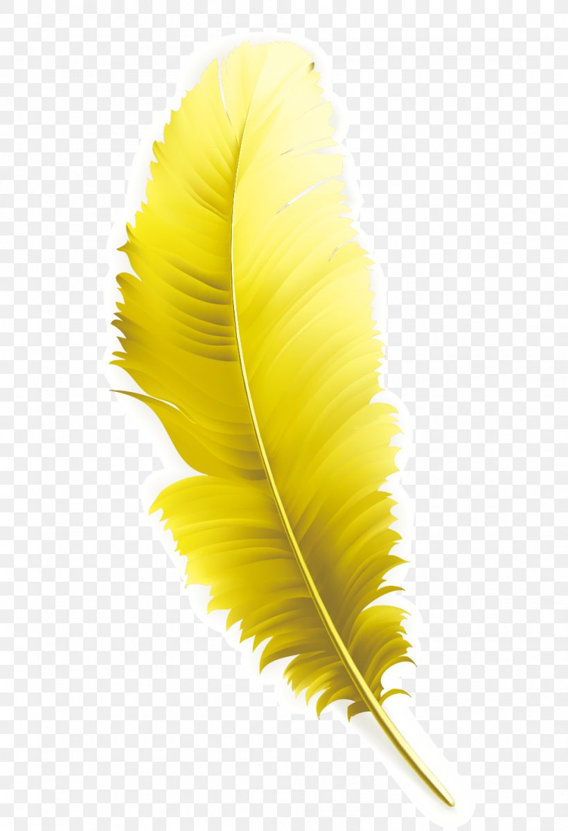 Feather Yellow Computer File, PNG, 1002x1467px, Feather, Gratis, Layers, Material, Quill Download Free