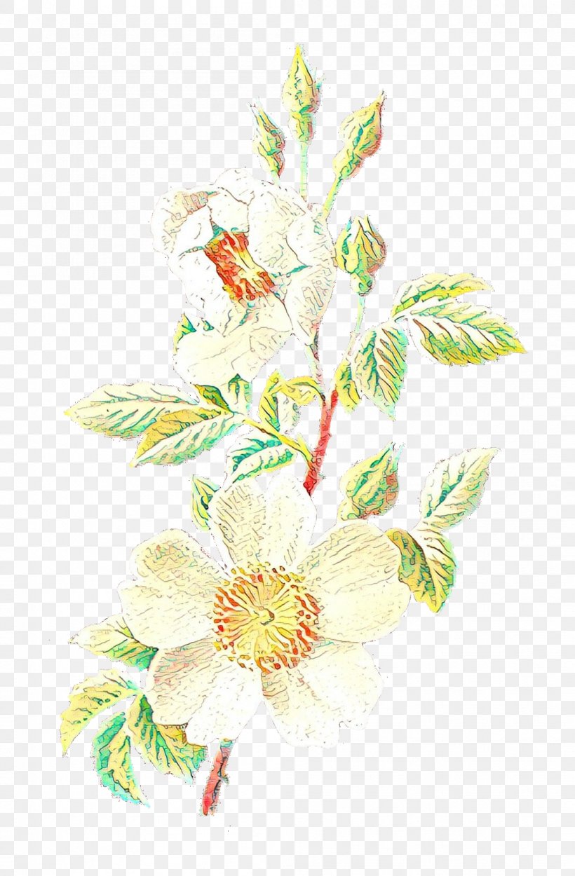 Floral Design Illustration Flower Work Of Art, PNG, 1049x1600px, Floral Design, Antique, Art, Botanical Illustration, Botany Download Free