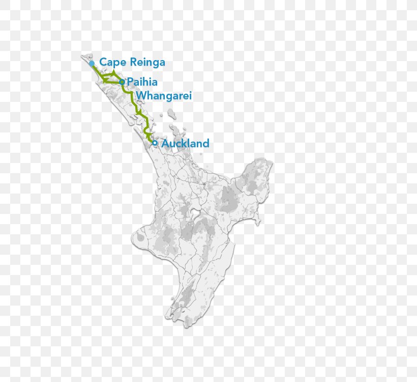 Giraffe Map Tuberculosis, PNG, 750x750px, Giraffe, Joint, Map, Organism, Tuberculosis Download Free