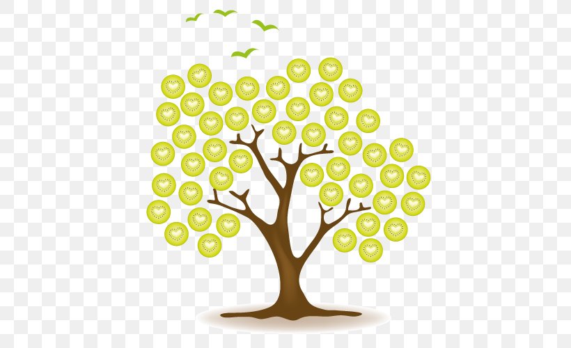 Kiwifruit Tree Actinidain, PNG, 516x500px, Kiwifruit, Actinidain, Actinidia, Area, Branch Download Free