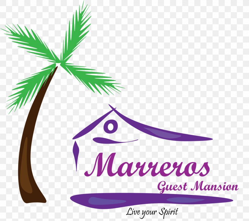 Marrero's Guest Mansion Logo Palm Trees Brand Font, PNG, 1400x1244px, Logo, Area, Brand, Green, Key West Download Free