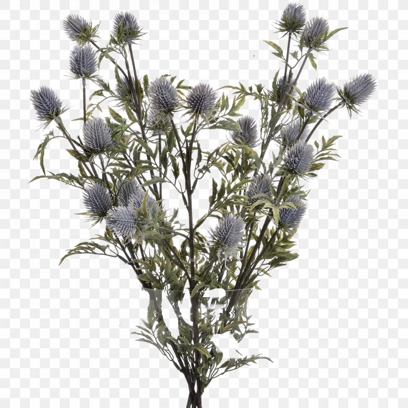 Artificial Flower Vase Eryngos Homewood & Rose, PNG, 1800x1800px, Flower, Artificial Flower, Aster, Blanket, Branch Download Free