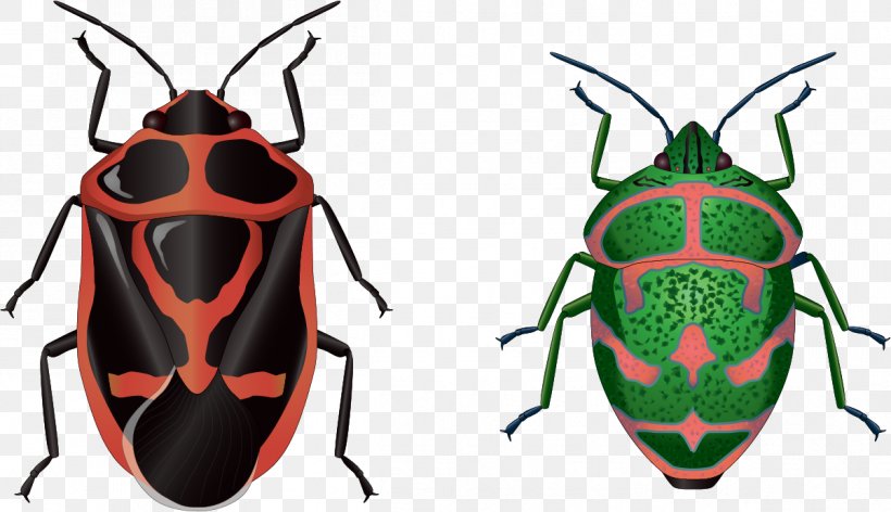 Beetle Euclidean Vector Clip Art, PNG, 1201x692px, Beetle, Arthropod, Depositfiles, Insect, Invertebrate Download Free