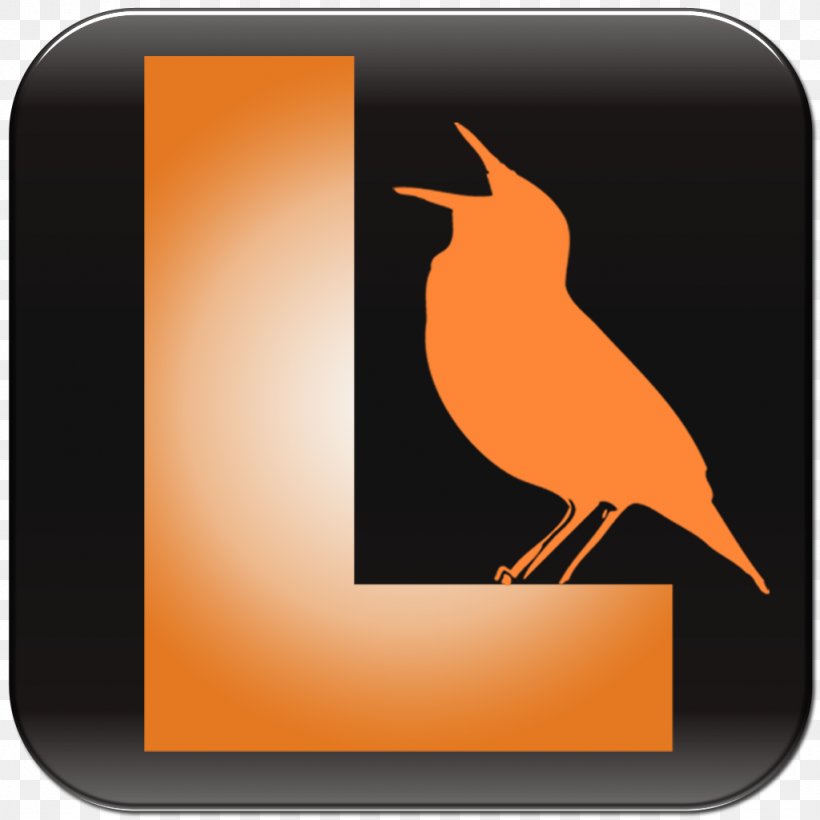 Bird Vocalization Beak Birdwatching App Store, PNG, 1024x1024px, Bird, App Store, Apple, Beak, Bird Vocalization Download Free