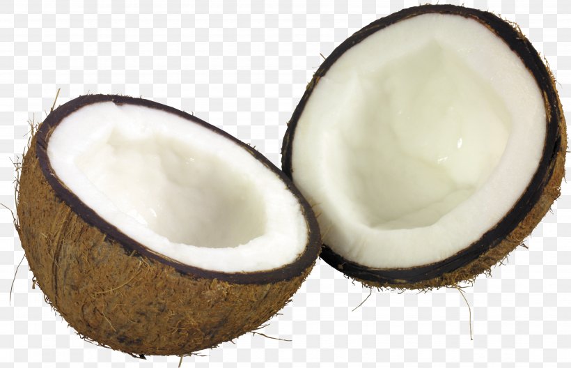 Coconut Milk Coconut Bar Coconut Oil, PNG, 3501x2256px, Coconut Milk, Coco, Coconut, Coconut Bar, Coconut Water Download Free