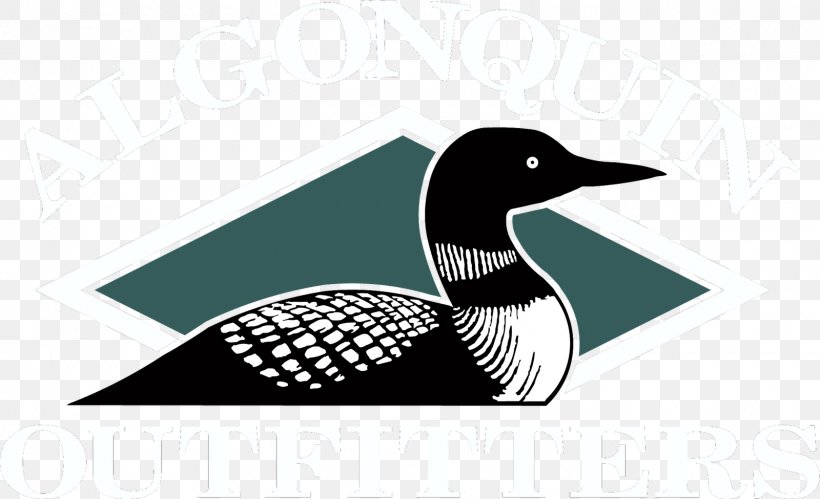 Common Loon Drawing Bird Duck Clip Art, PNG, 1600x975px, Common Loon, Art, Art Museum, Beak, Bird Download Free