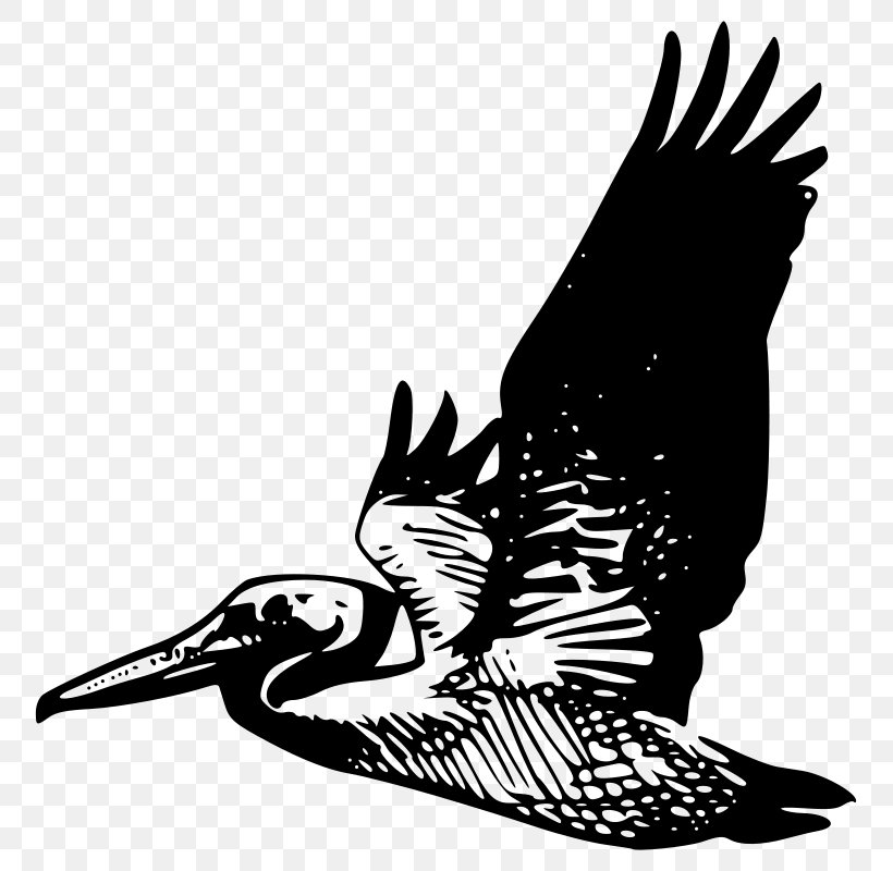 Pelican Clip Art, PNG, 793x800px, Pelican, Beak, Bird, Bird Of Prey, Black And White Download Free