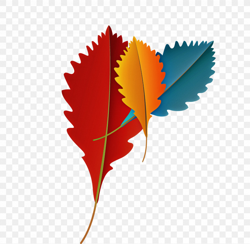 Maple Leaf, PNG, 3000x2931px, Autumn Leaf, Biology, Branch, Cartoon Leaf, Fall Leaf Download Free