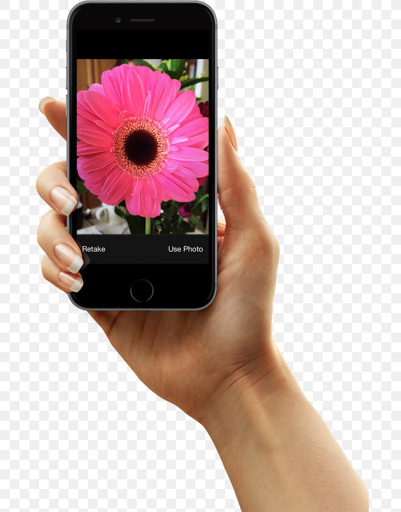 Plant Identification Gardening The Garden Answers, PNG, 689x1047px, Plant Identification, App Store, Camera, Camera Lens, Cameras Optics Download Free