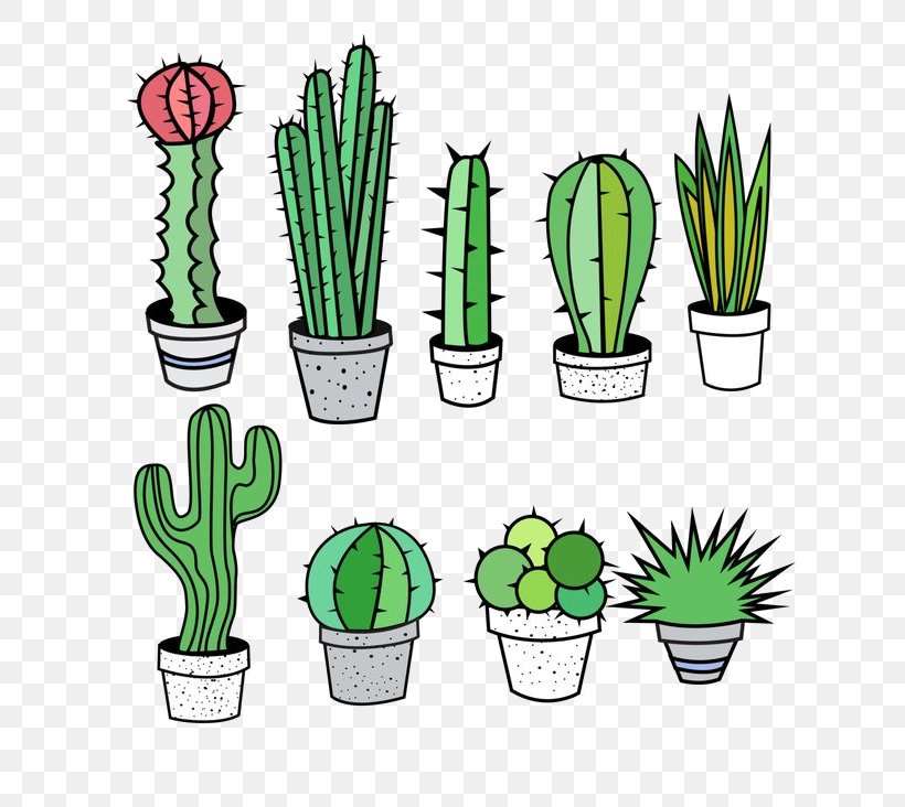 Cactus, PNG, 736x732px, Cactus, Flower, Flowerpot, Grass, Grass Family Download Free