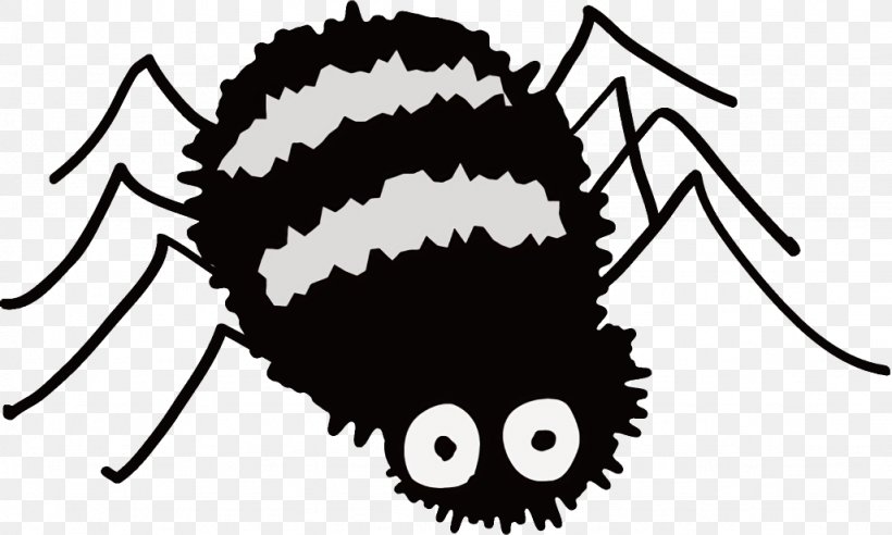 Spider Halloween, PNG, 1026x616px, Spider, Halloween, Head, Insect, Snout Download Free