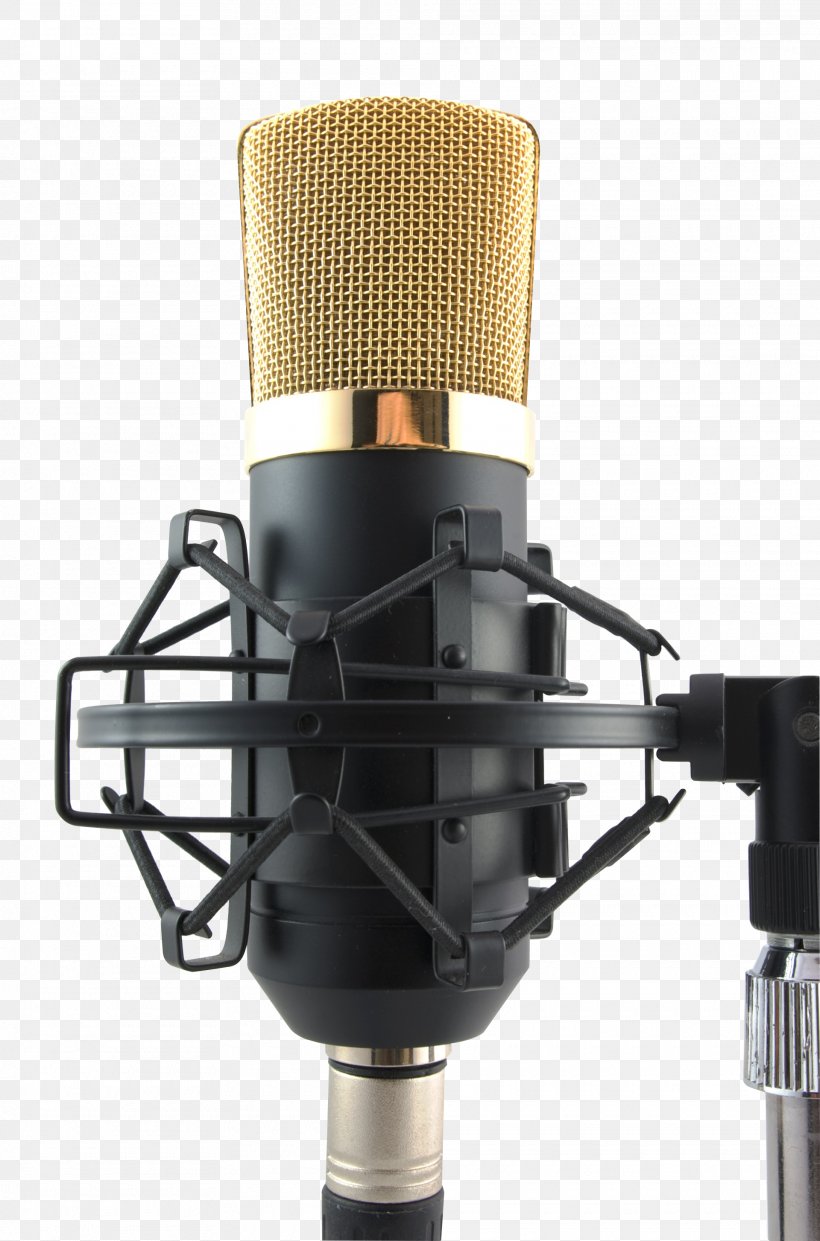 Microphone Recording Studio Photography, PNG, 1920x2908px, Watercolor, Cartoon, Flower, Frame, Heart Download Free