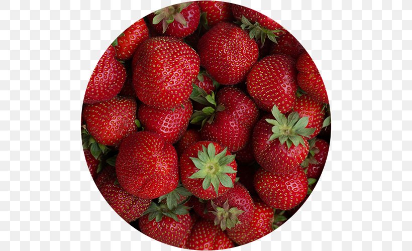 Wibke Sommer Film & Photography Fragaria Food 0 1, PNG, 500x500px, 2017, 2018, Fragaria, Auglis, Berry Download Free
